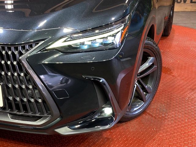 LEXUS NX250