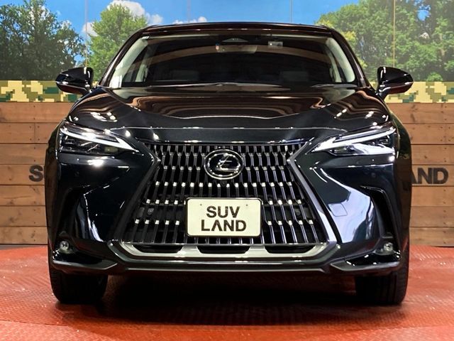 LEXUS NX250