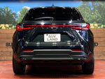 LEXUS NX250