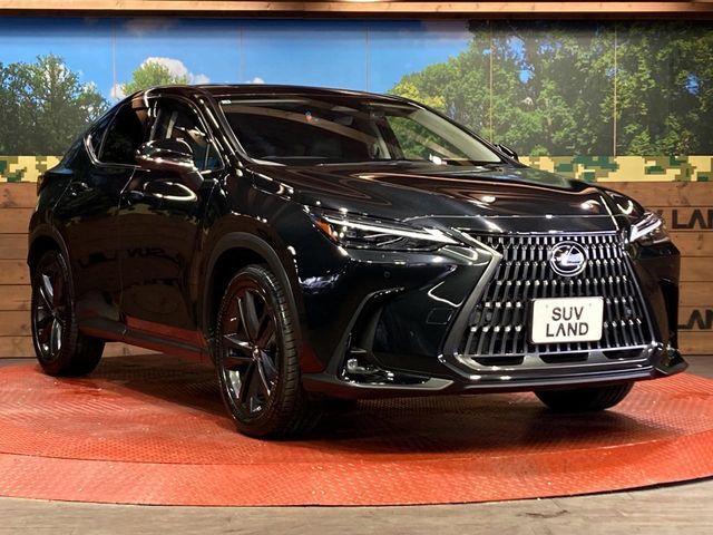 LEXUS NX250
