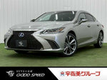 LEXUS ES300h