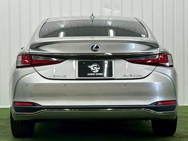 LEXUS ES300h