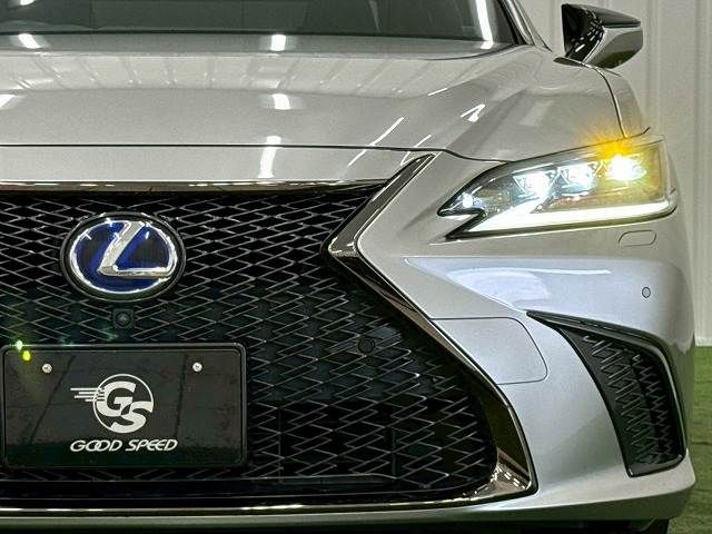 LEXUS ES300h