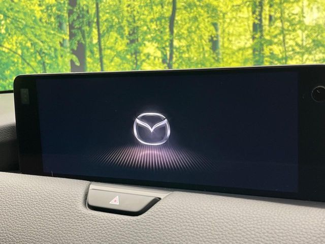 CX-80