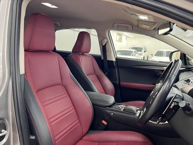 LEXUS NX300h AWD