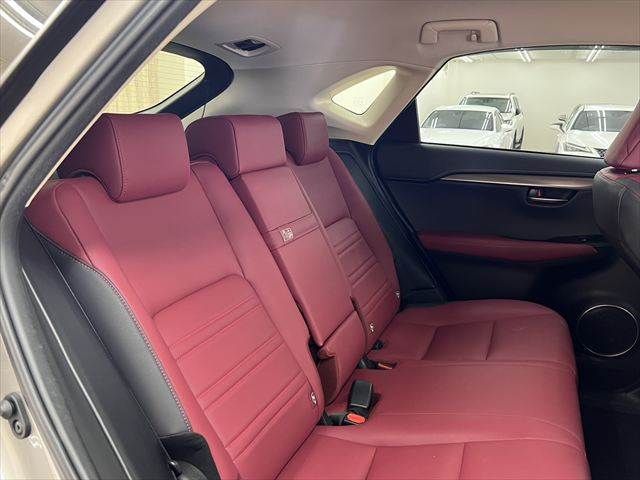 LEXUS NX300h AWD