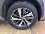 LEXUS NX300h AWD