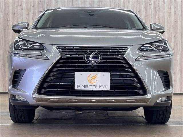 LEXUS NX300h AWD