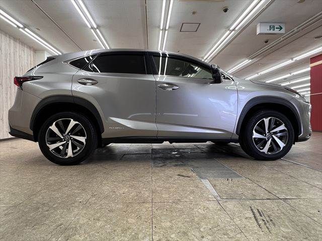 LEXUS NX300h AWD