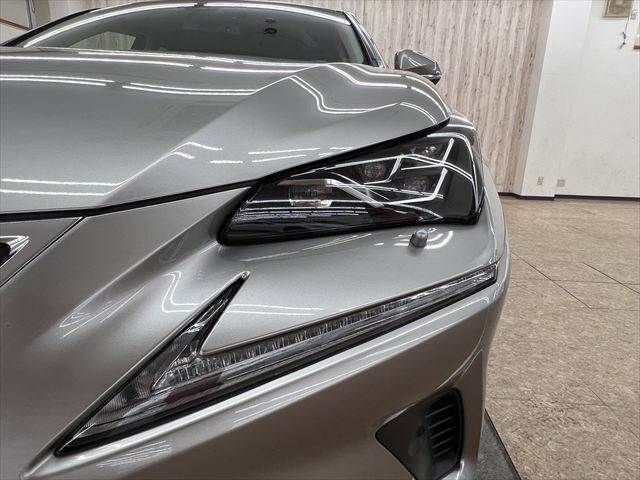 LEXUS NX300h AWD