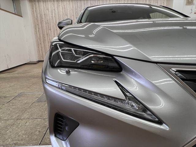 LEXUS NX300h AWD
