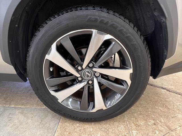 LEXUS NX300h AWD