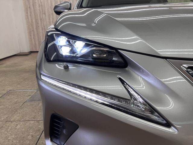 LEXUS NX300h AWD
