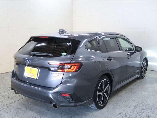 LEVORG