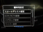 RAIZE HYBRID