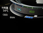 RAIZE HYBRID