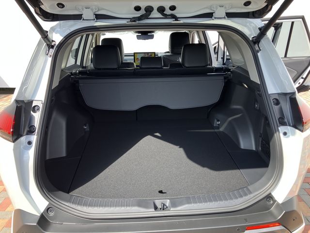 RAV4 HYBRID 4WD