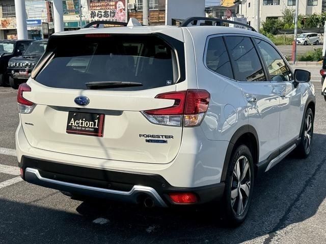 FORESTER