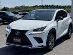 LEXUS NX300