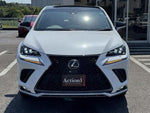 LEXUS NX300