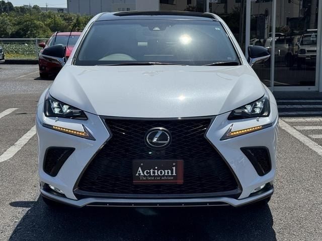 LEXUS NX300