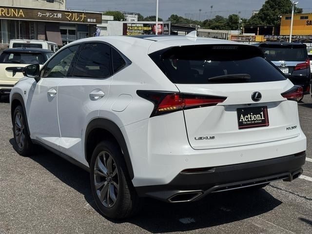 LEXUS NX300