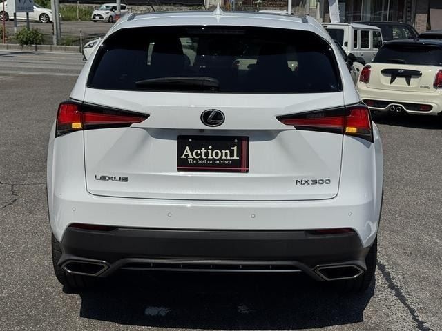 LEXUS NX300