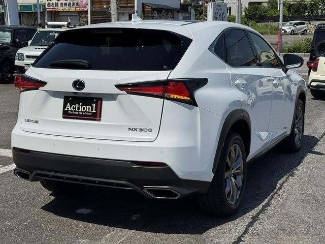 LEXUS NX300