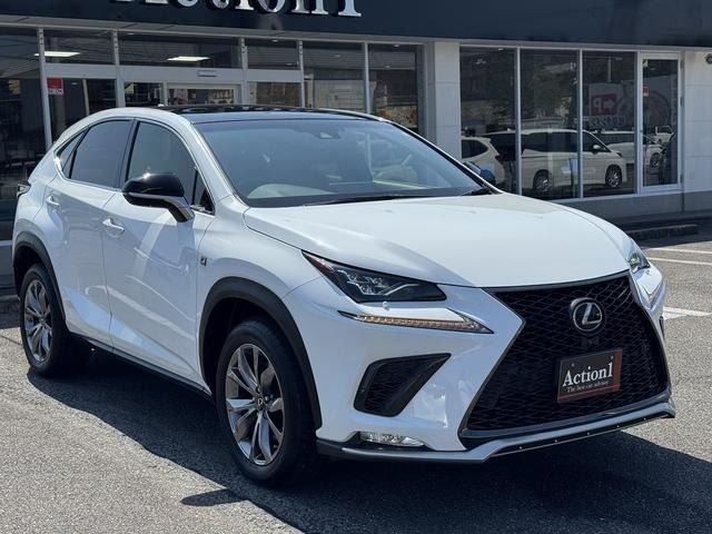 LEXUS NX300