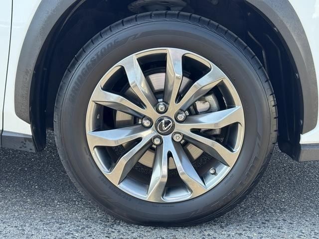 LEXUS NX300