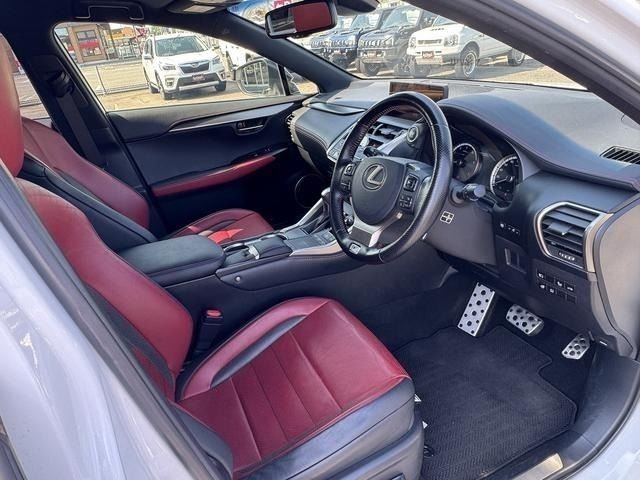 LEXUS NX300