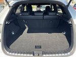 LEXUS NX300