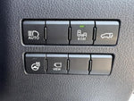 LEXUS NX300