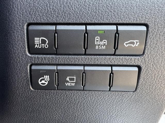 LEXUS NX300