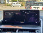 LEXUS NX300