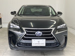 LEXUS NX300h