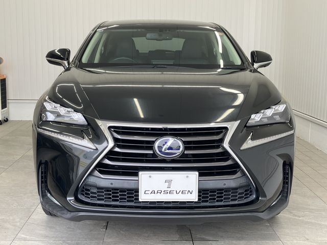 LEXUS NX300h