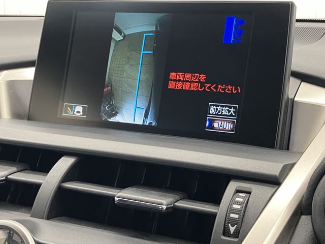 LEXUS NX300h