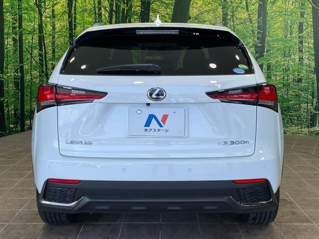 LEXUS NX300h