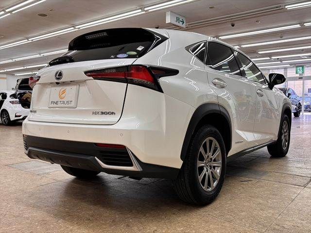 LEXUS NX300h