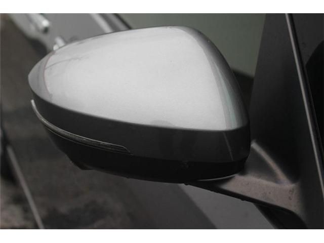 SERENA  WG