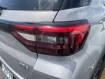 RAIZE HYBRID