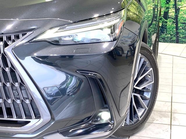 LEXUS NX350h