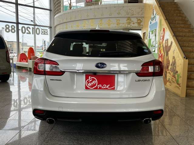 LEVORG