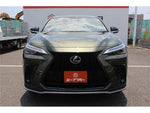 LEXUS NX450h+ AWD
