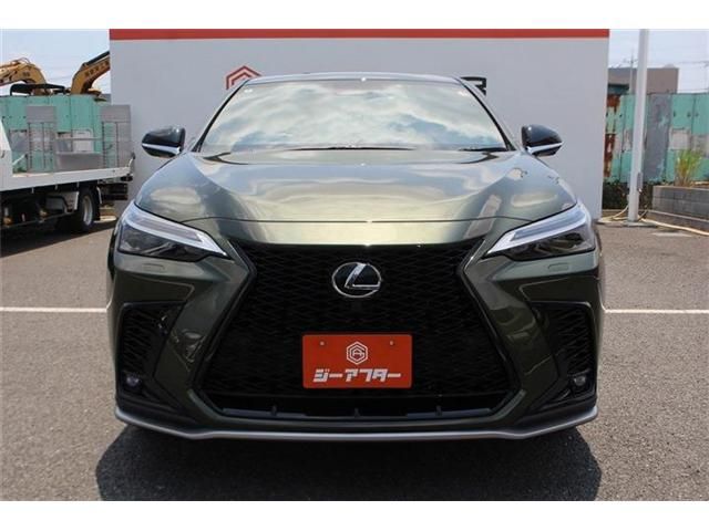 LEXUS NX450h+ AWD