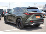 LEXUS NX450h+ AWD