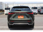 LEXUS NX450h+ AWD
