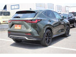 LEXUS NX450h+ AWD