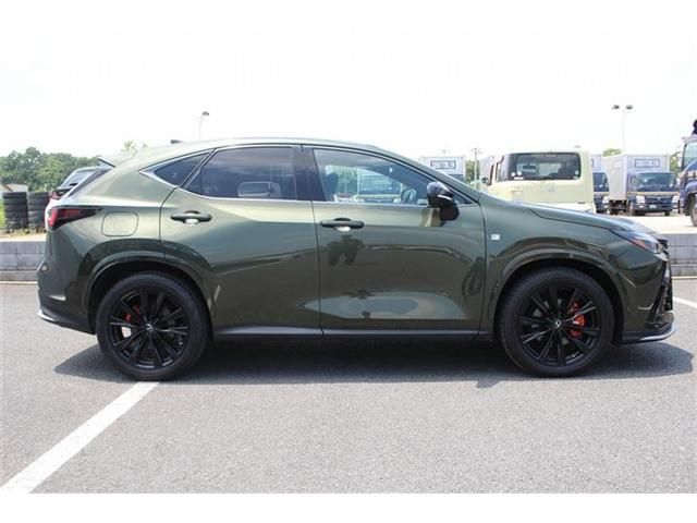 LEXUS NX450h+ AWD